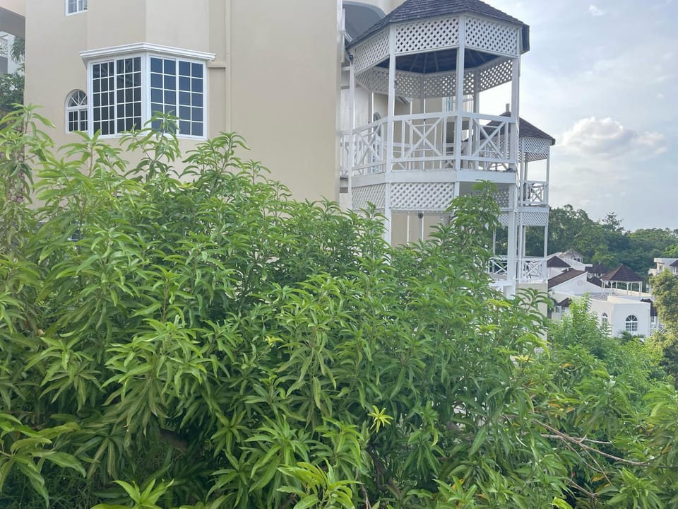Property building, Garden view