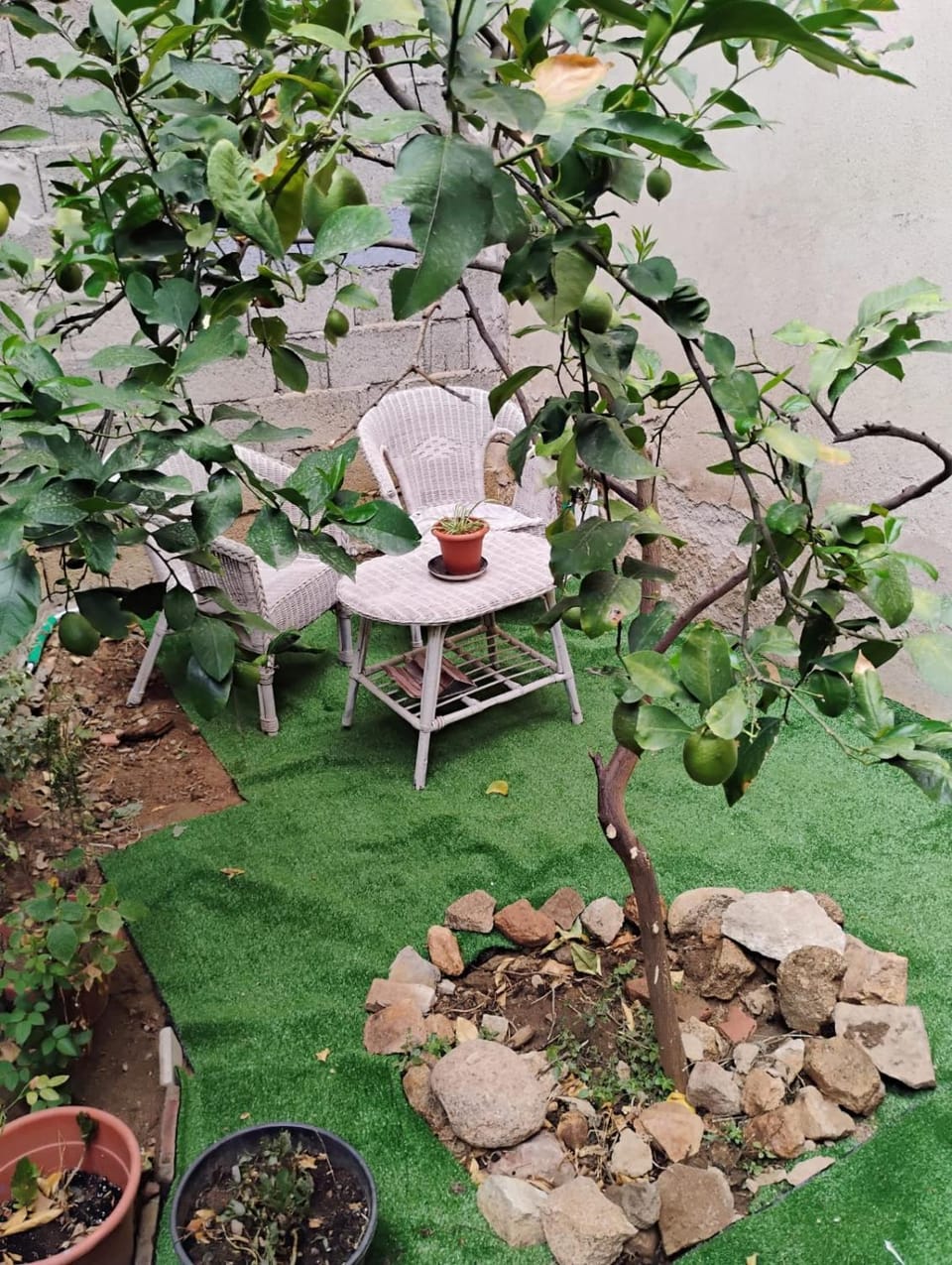 Garden