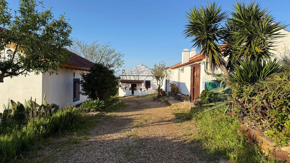 Moinhos do Paneiro, Studio IDA without kitchen, sea view Apartment in Setubal District