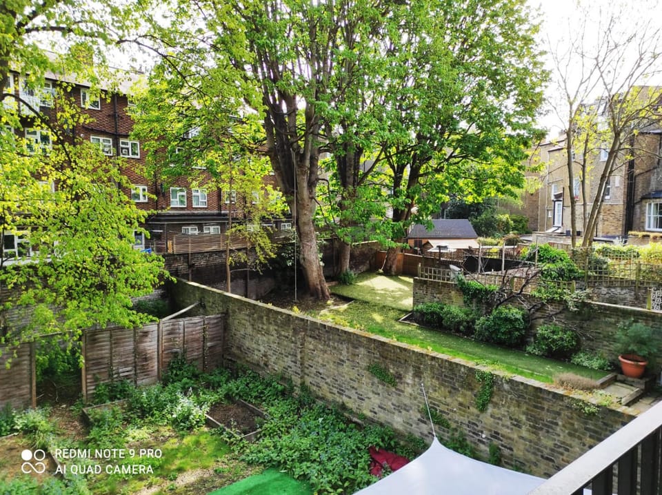 Garden, View (from property/room), Garden view