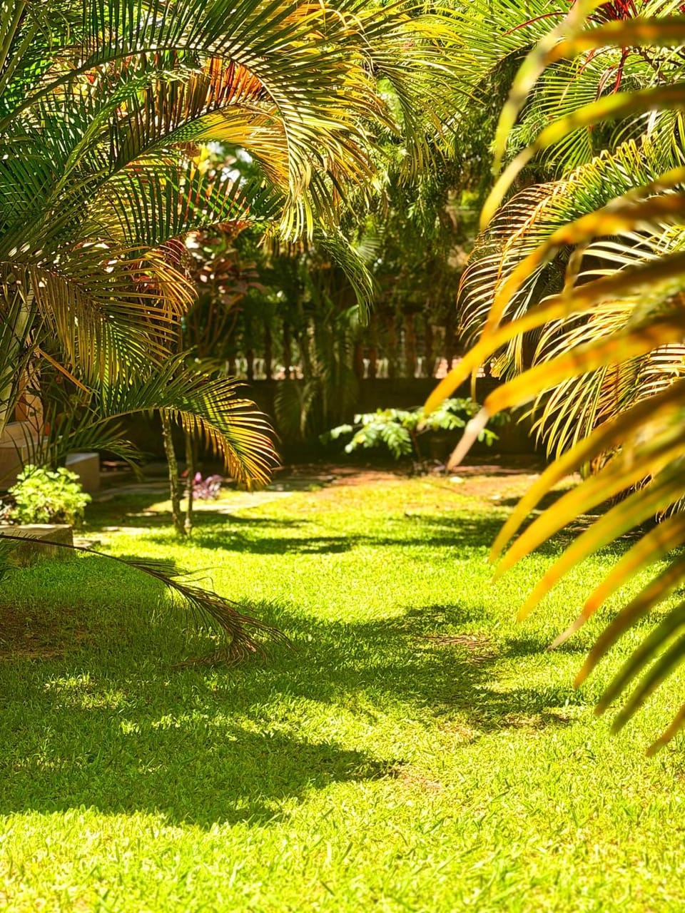 Tgs Homestay Nest Vacation rental in Kampala