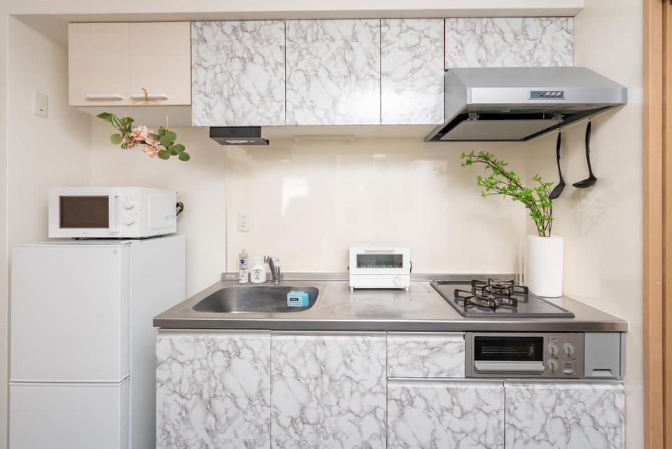 Kitchen or kitchenette, stove, toaster