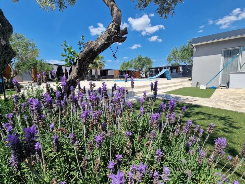 Day, Garden, Pool view, Swimming pool