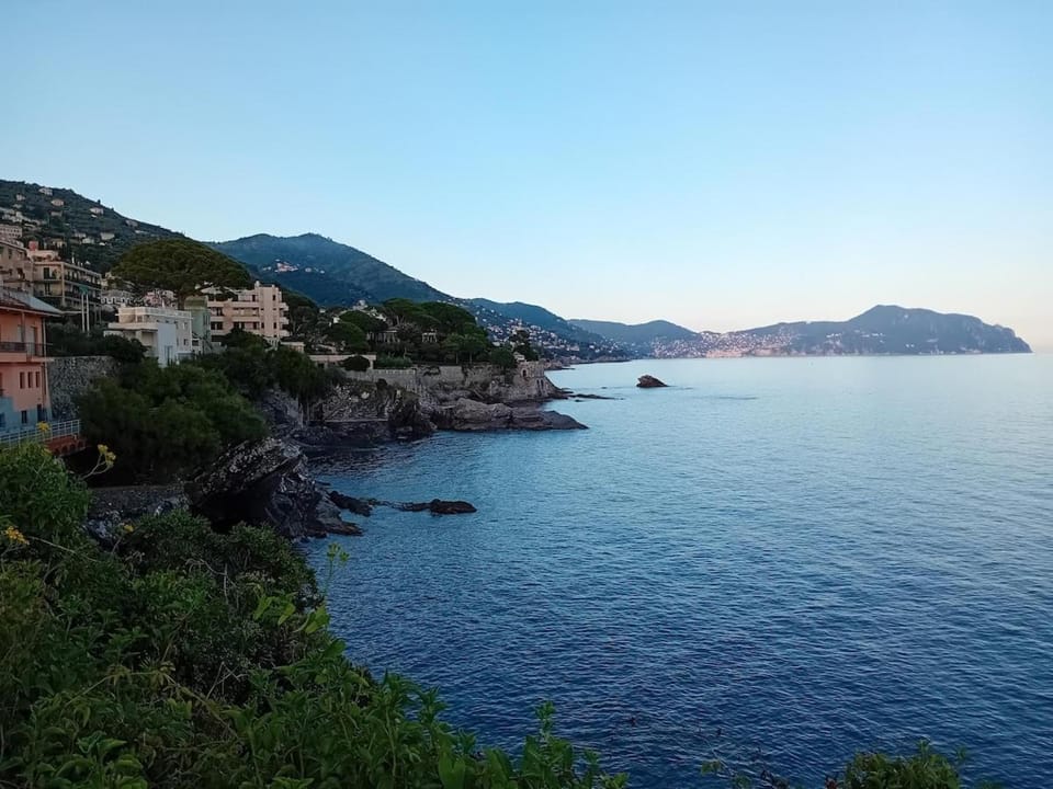 Natural landscape