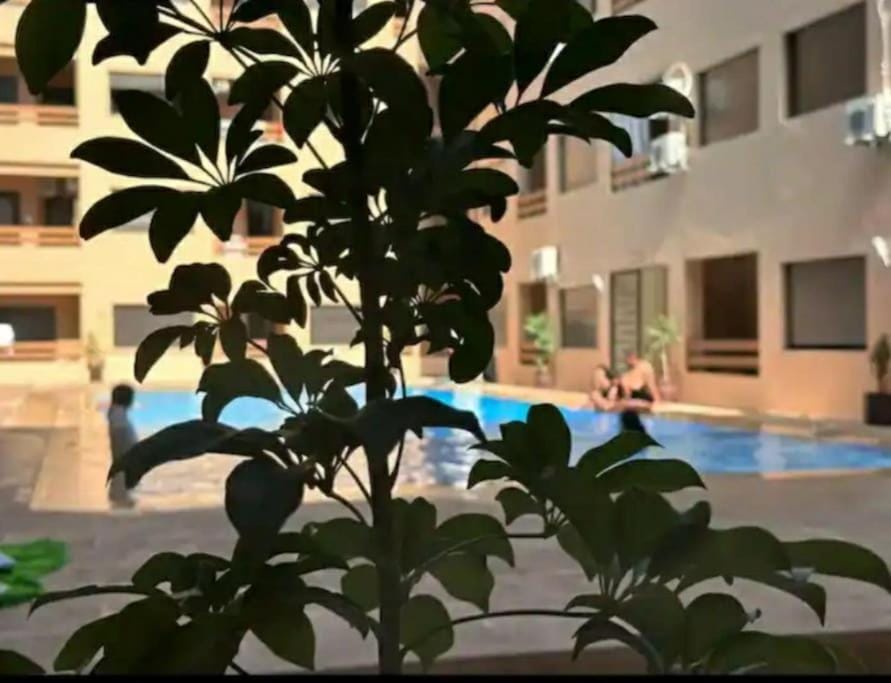 appartement de luxe gueliz Apartment in Marrakesh