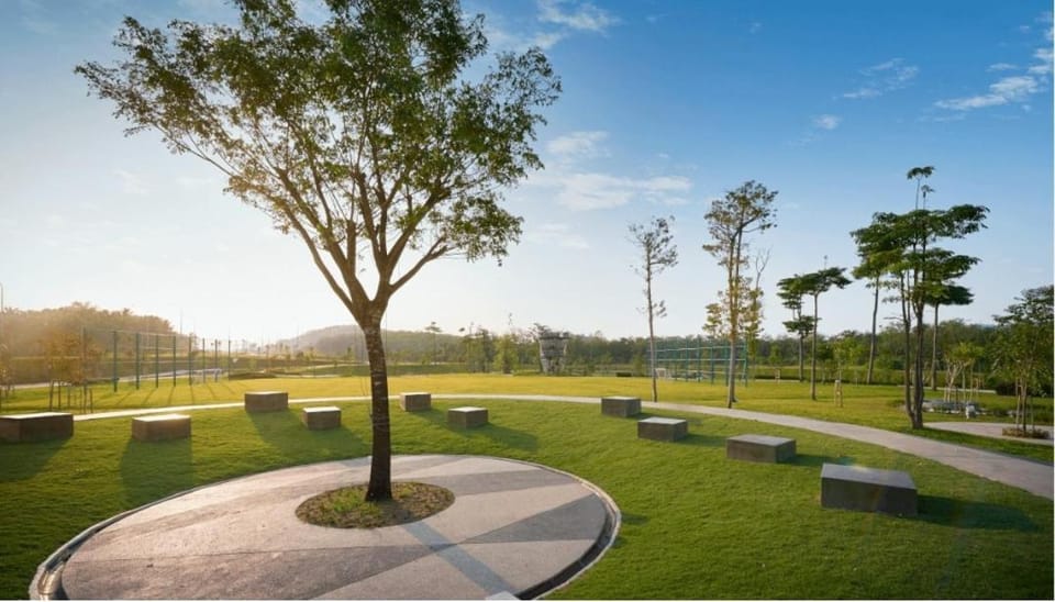 Garden view