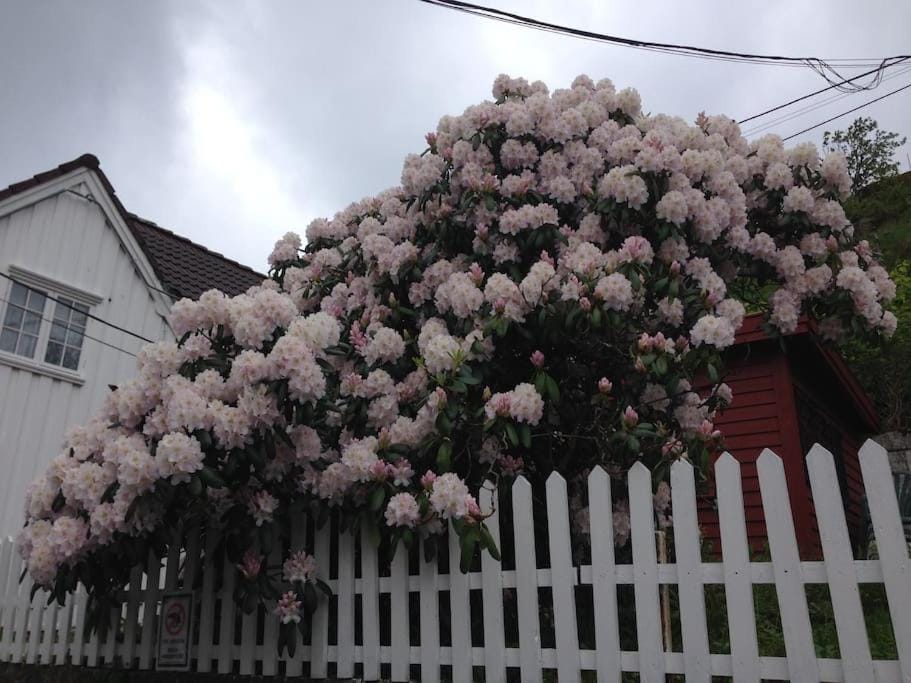 Nearby landmark, Neighbourhood