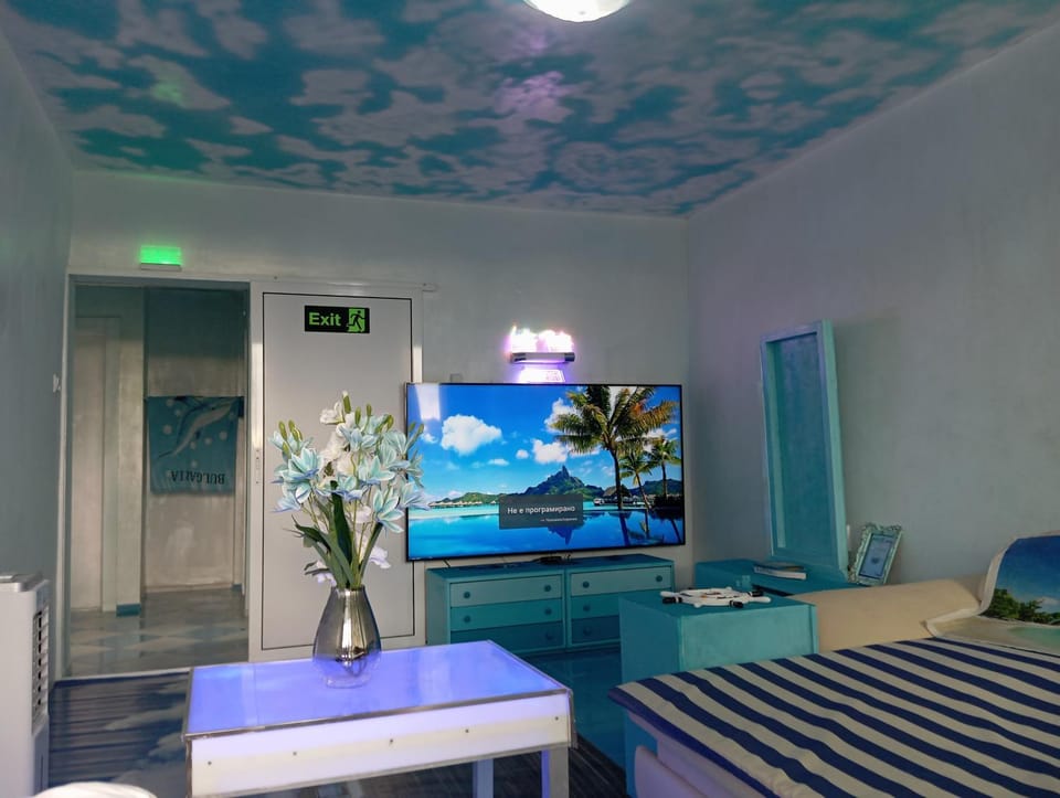 TV and multimedia