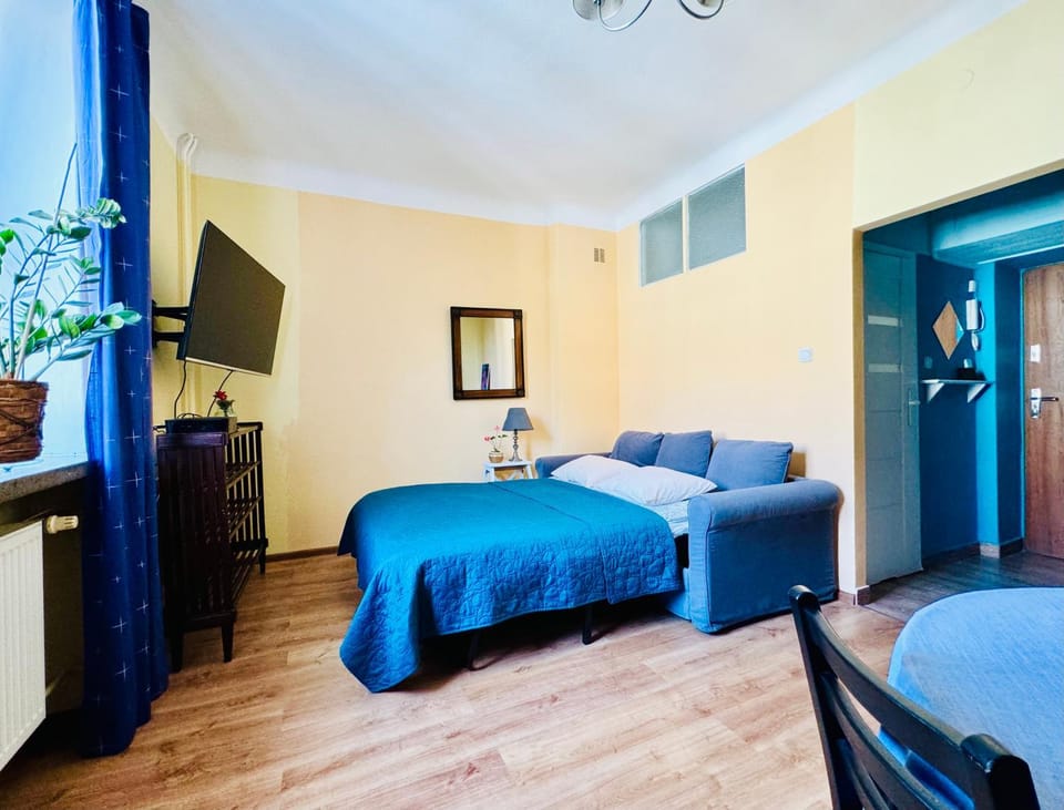 Bed, TV and multimedia, Living room, Photo of the whole room, Seating area, Bedroom