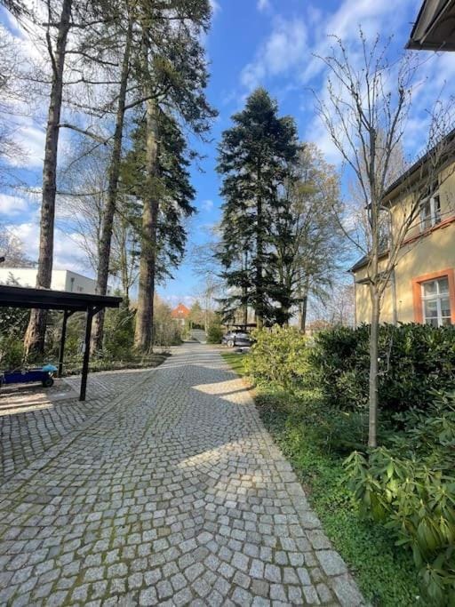 Property building, Garden, Street view