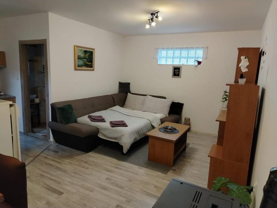 Apartman Maja Apartment in Hungary
