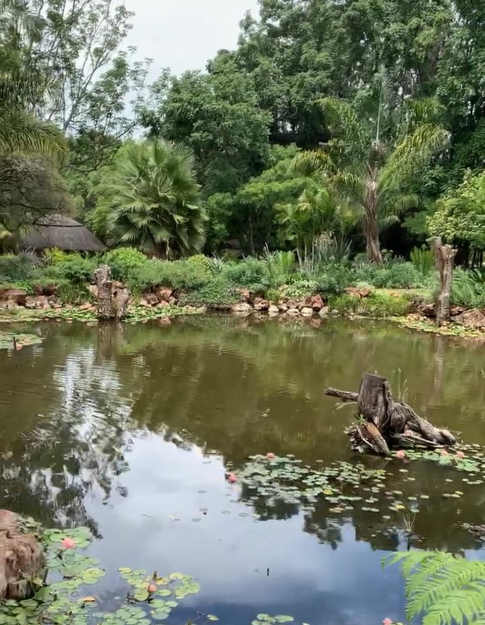 Natural landscape