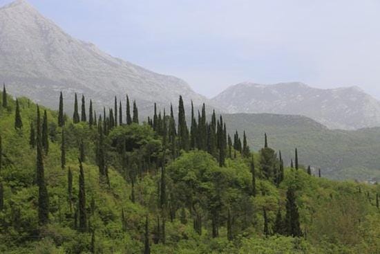 Natural landscape, Mountain view