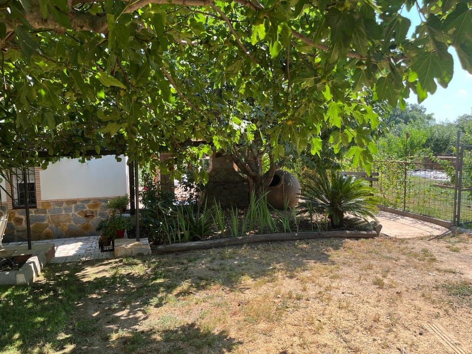 Casa de campo RuralRuñA House in Sierra de Huelva