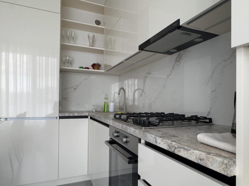 Kitchen or kitchenette, dishwasher, stove