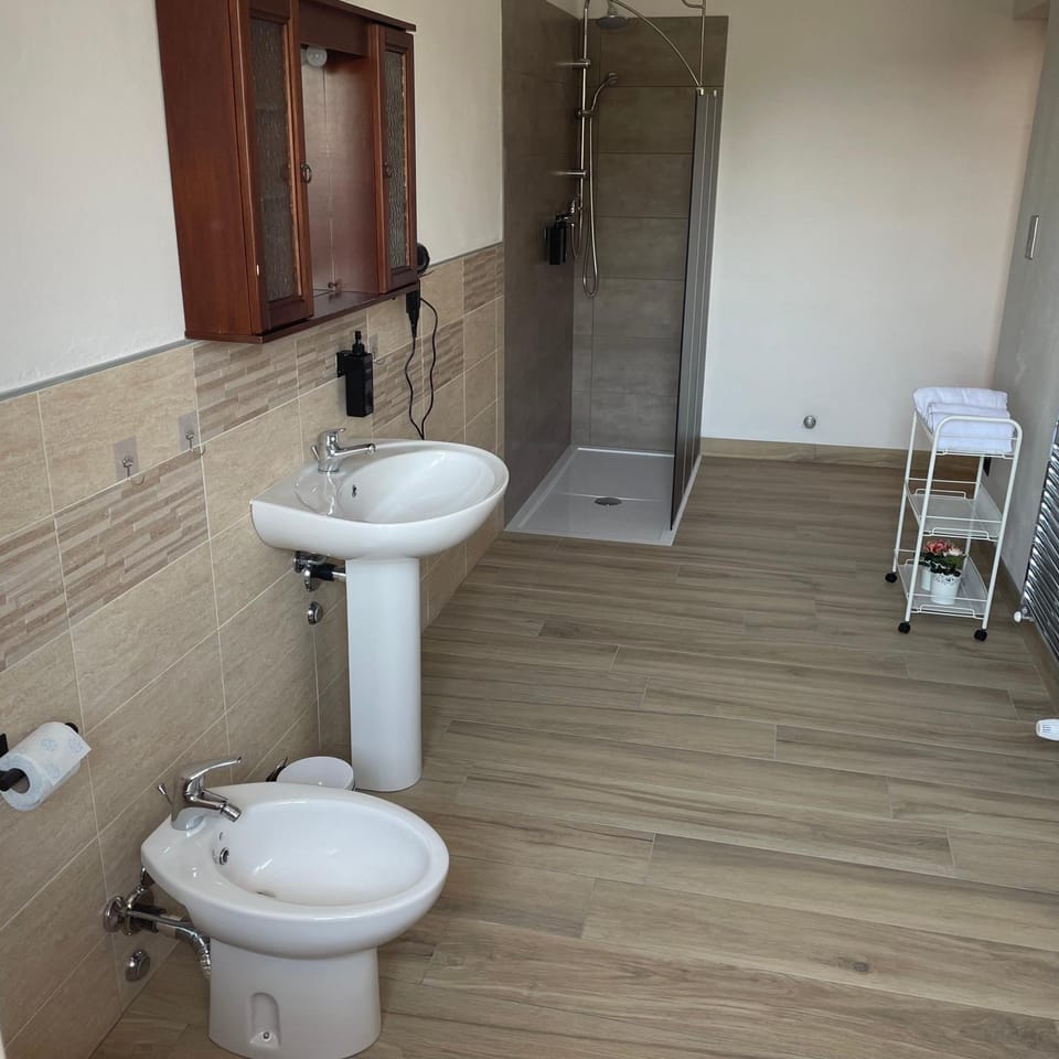 Shower, Toilet, Bathroom, bidet