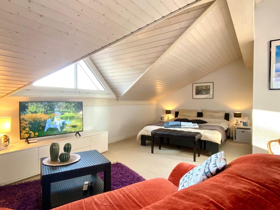 Bed, TV and multimedia, Living room, Photo of the whole room, Bedroom, towels