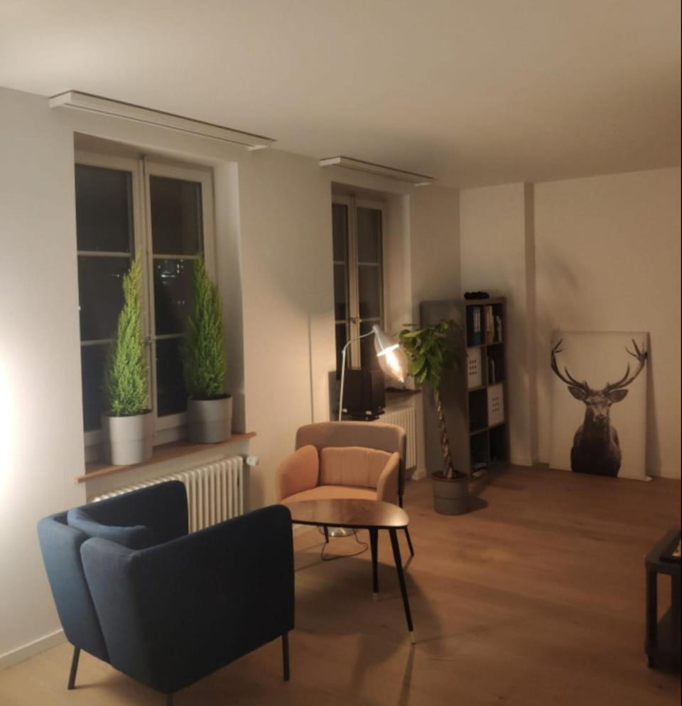 Loft im Herzen der Berner Altstadt Apartment in City of Bern