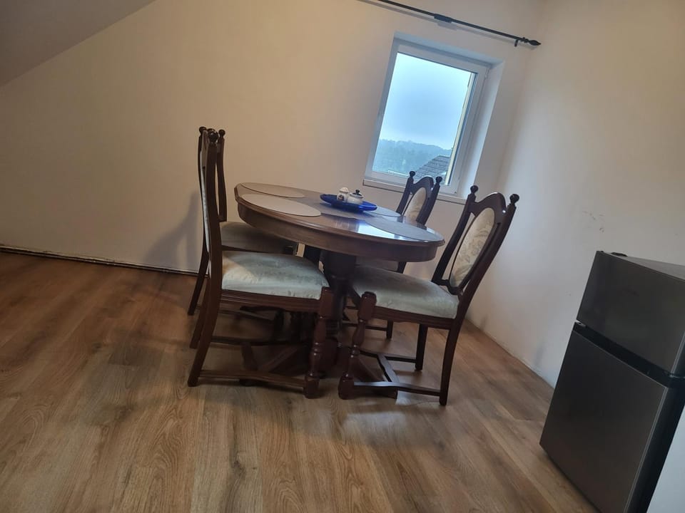 Haus Svetlana Zweizimmer Ferienwohnung Apartment in Saxony