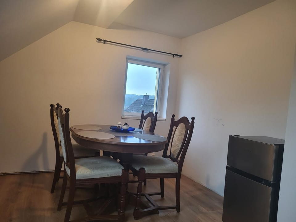 Haus Svetlana Zweizimmer Ferienwohnung Apartment in Saxony