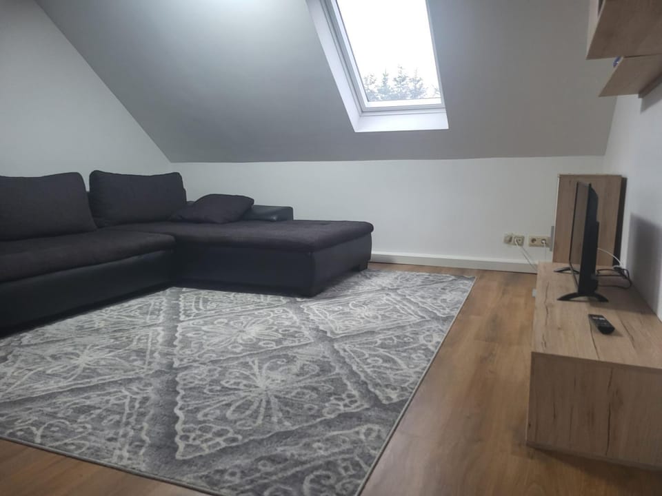 Haus Svetlana Zweizimmer Ferienwohnung Apartment in Saxony