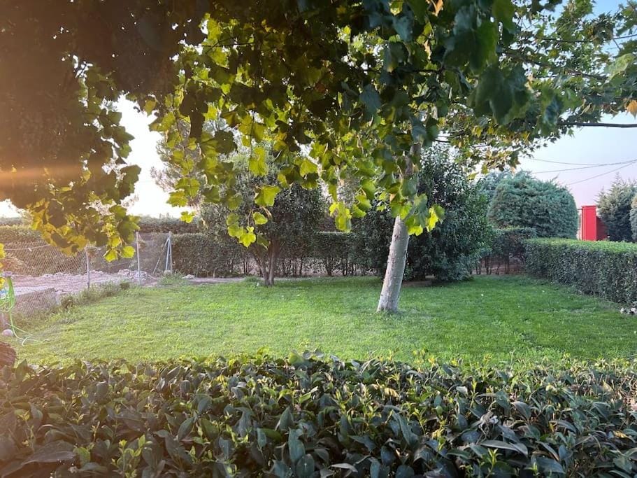 El Portachuelo Apartment in Castile-La Mancha