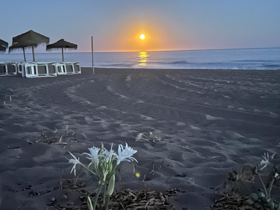 Natural landscape, Sea view