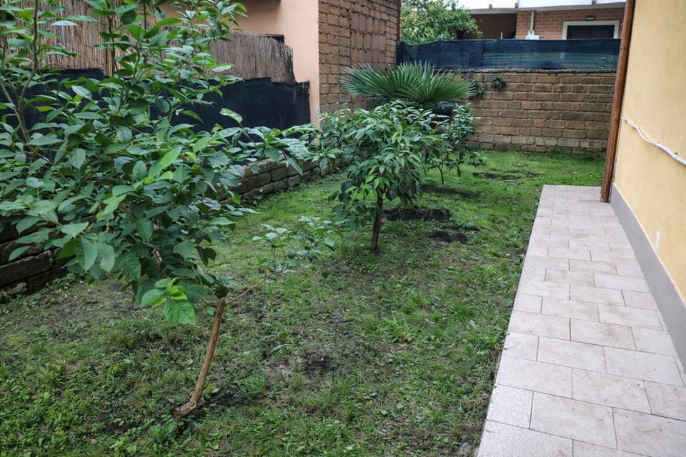 Spring, Day, Garden, Garden view