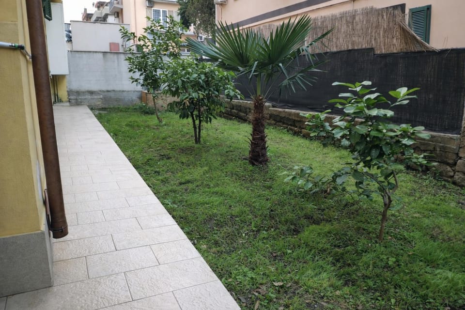 Spring, Day, Garden, Garden view