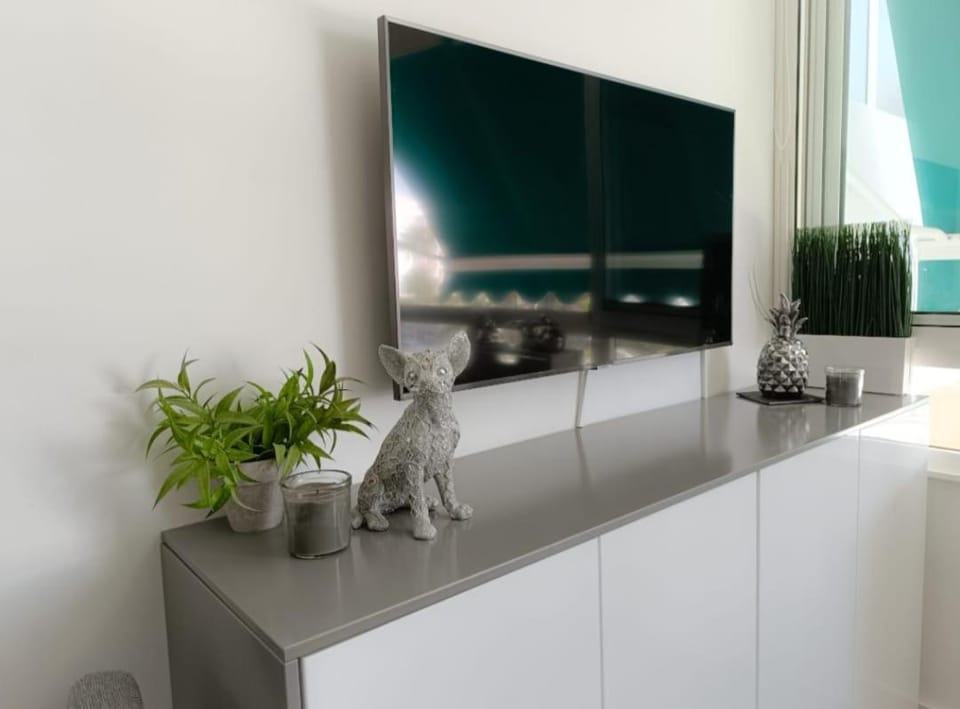 TV and multimedia