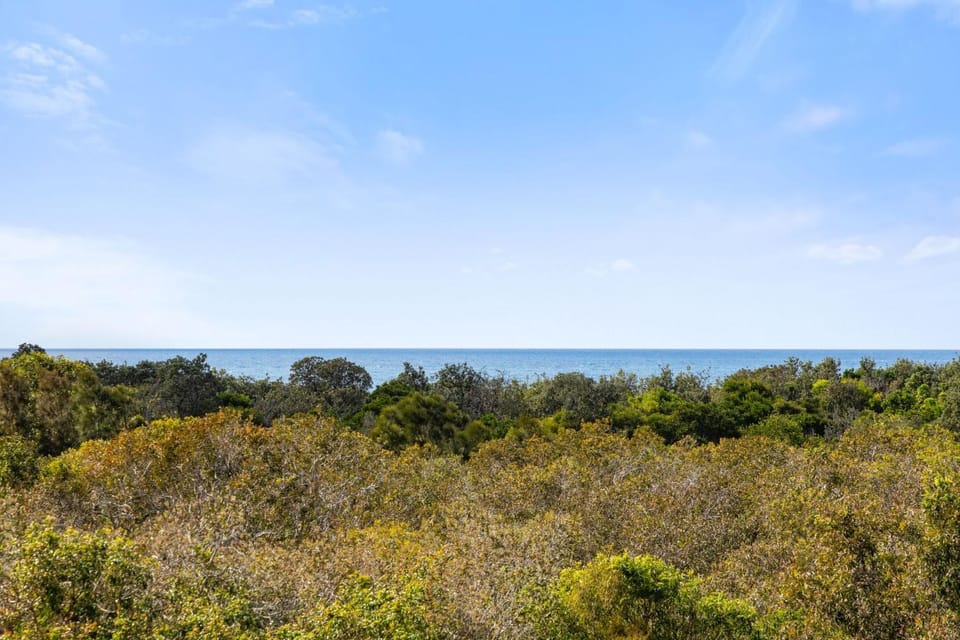 Natural landscape