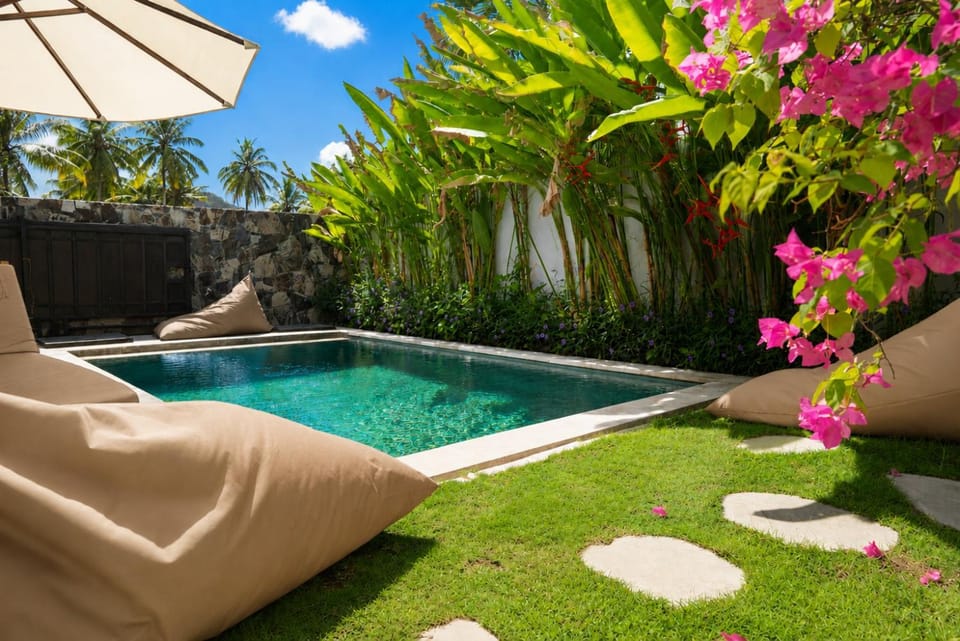 Patio, Garden, Garden view, Pool view, Swimming pool, sunbed