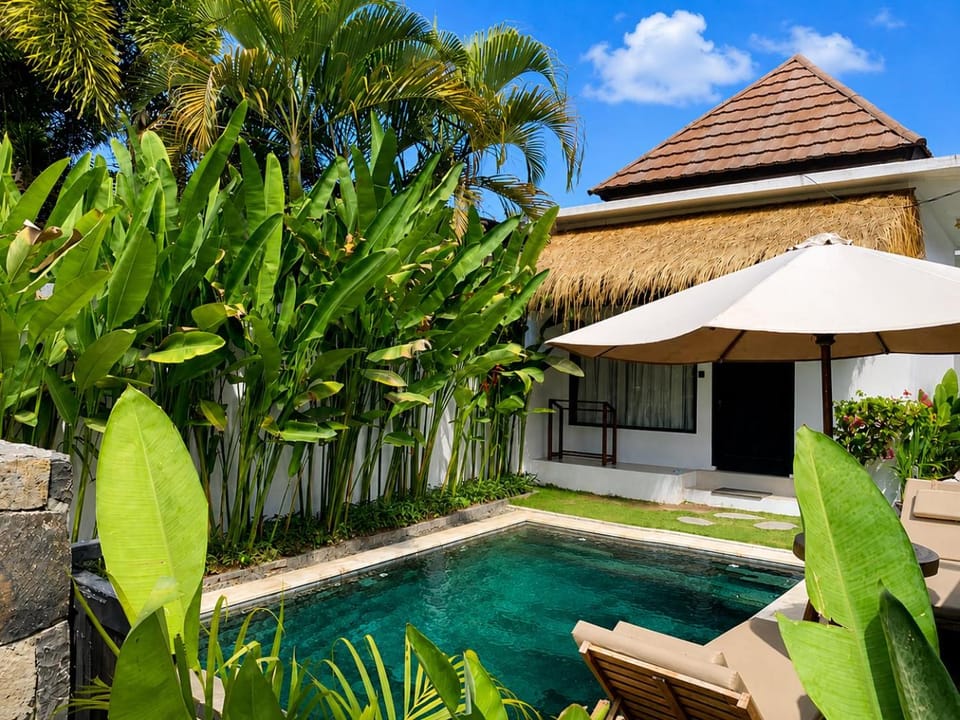 Property building, Patio, Day, Garden, Garden view, Pool view, Swimming pool, sunbed