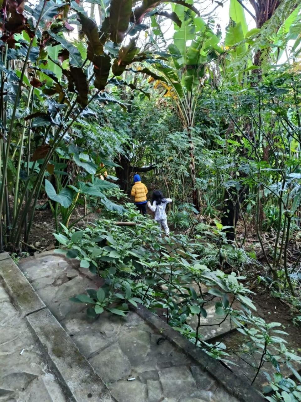 Natural landscape, Garden, Garden view