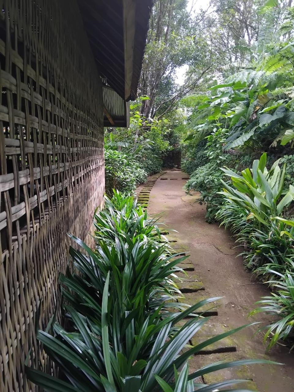 Natural landscape, Garden, Garden view