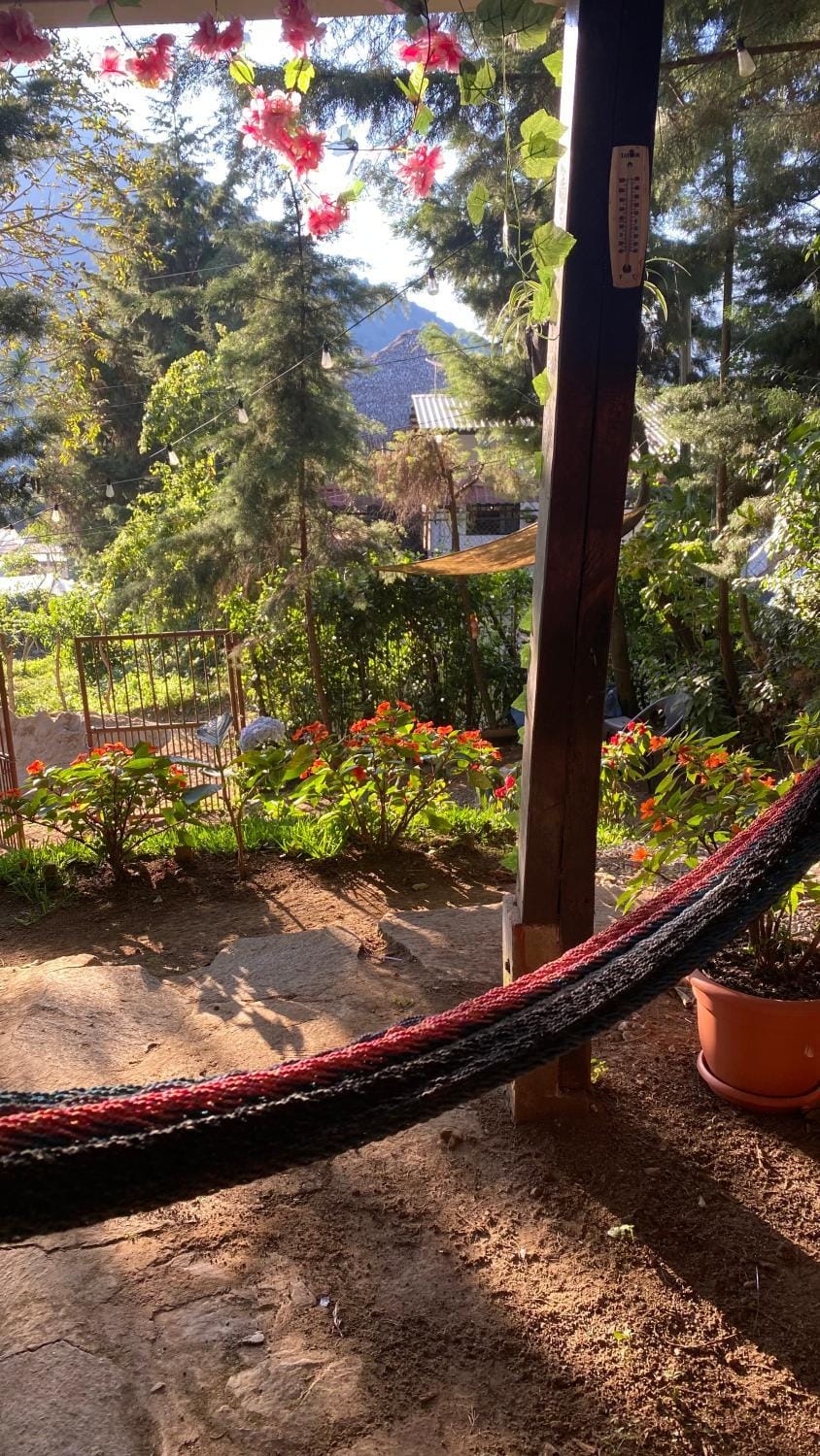 Natural landscape, Garden view