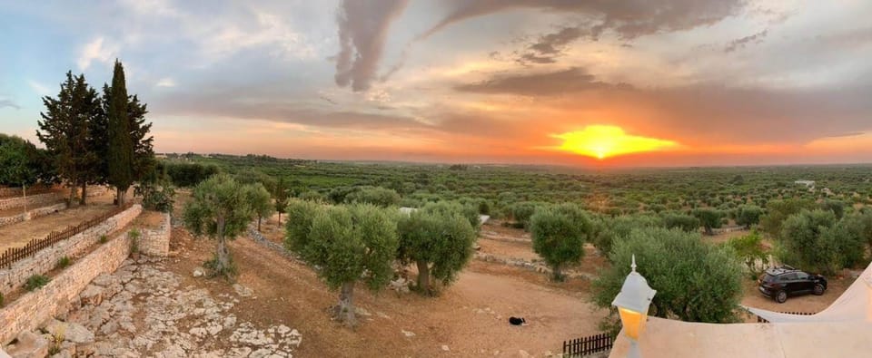 Garden view, Sunset