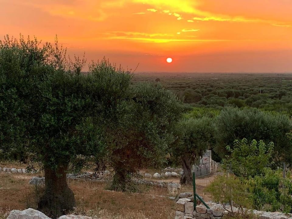 Other, Sunset