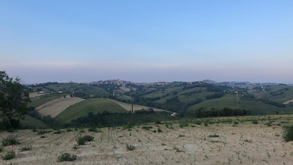 Mountain view