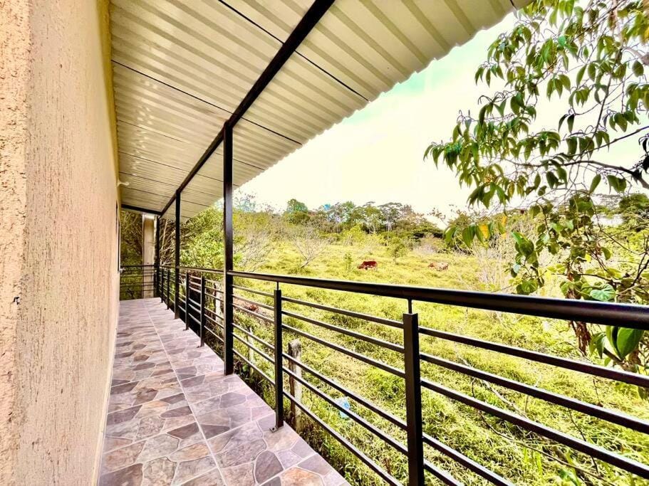 Day, Garden, View (from property/room), Balcony/Terrace, Garden view