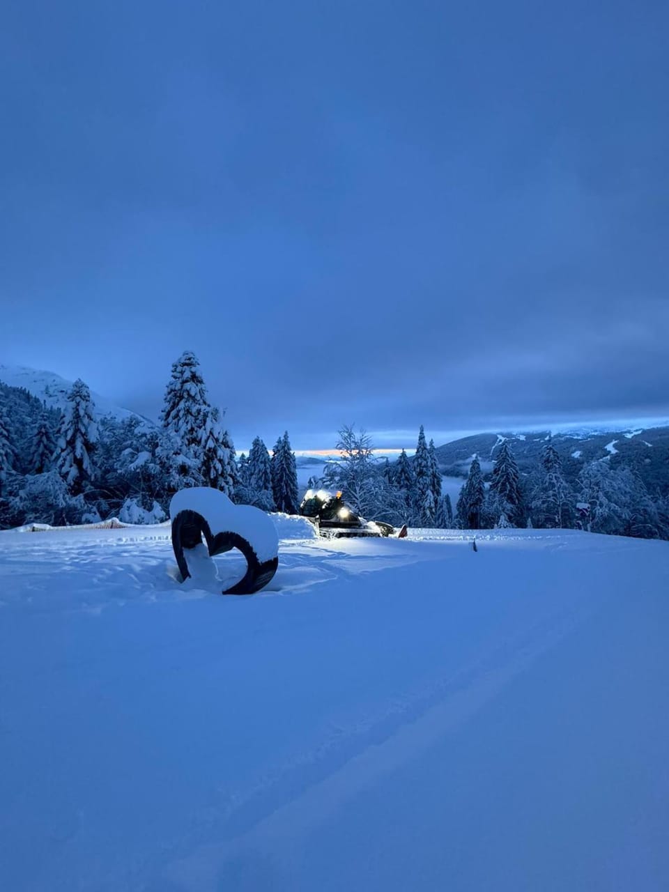 Appartamenti al Parco Apartment in Molveno