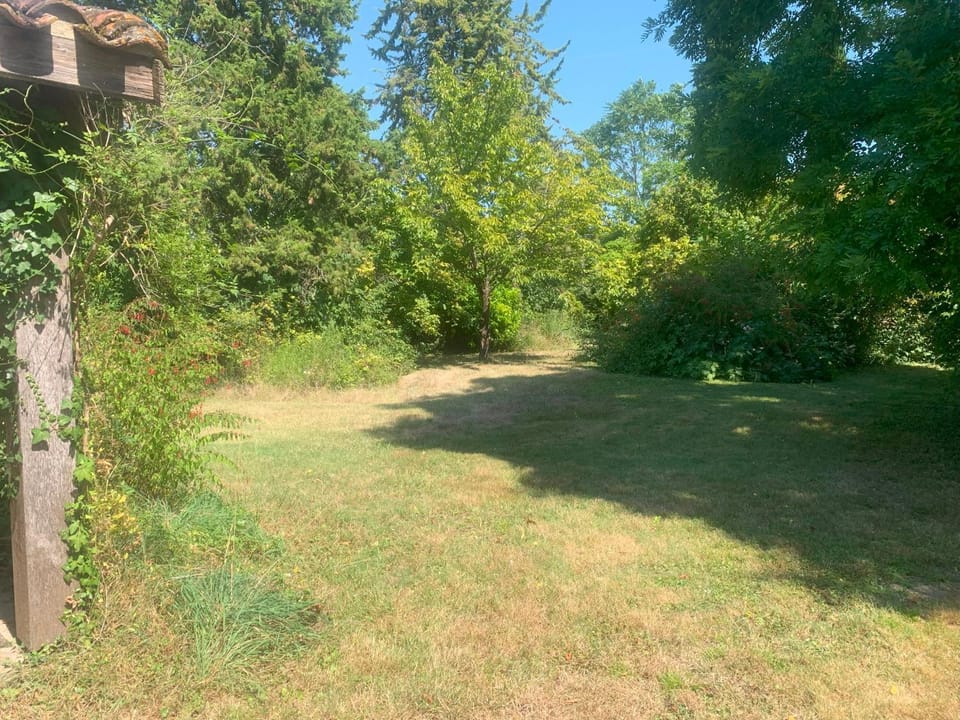 Natural landscape, Garden view