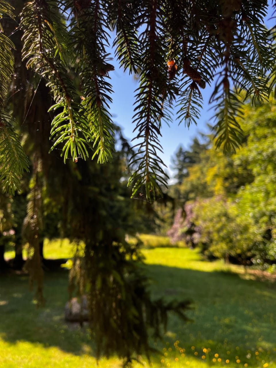 Spring, Natural landscape, Garden, Garden view