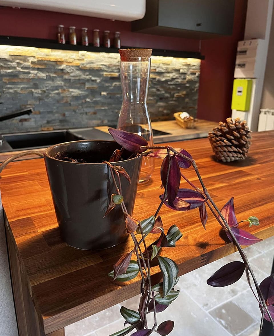 Kitchen or kitchenette, Food and drinks