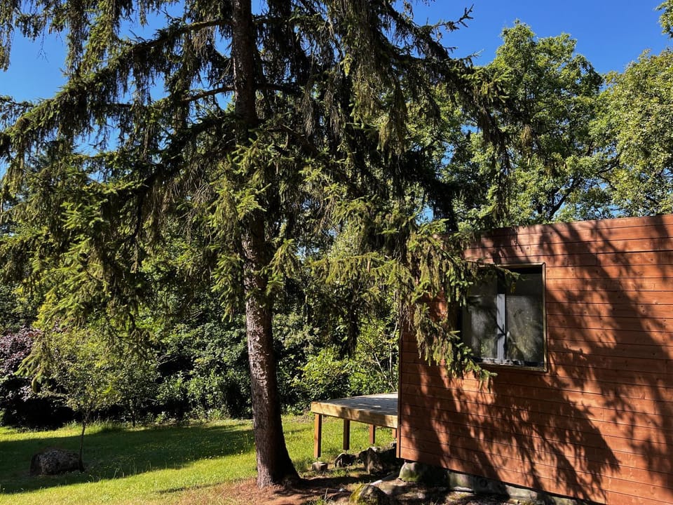 Property building, Natural landscape, Garden, Garden view