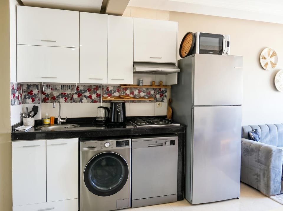 Kitchen or kitchenette, dishwasher, stove, toaster, washing machine