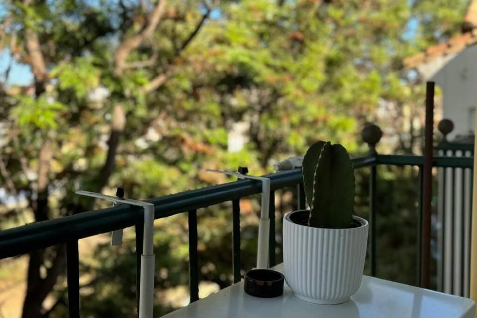 View (from property/room), Balcony/Terrace