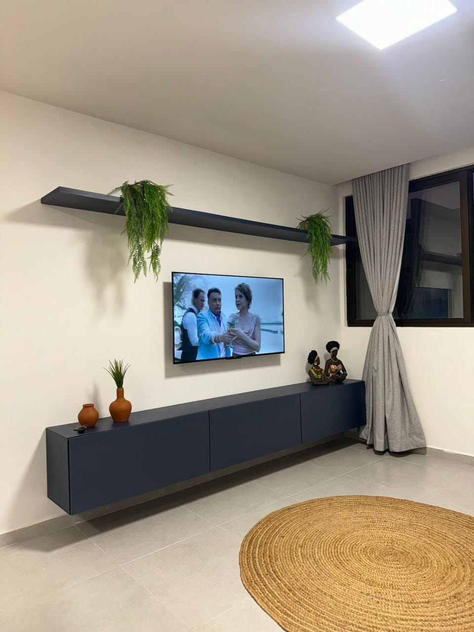 TV and multimedia
