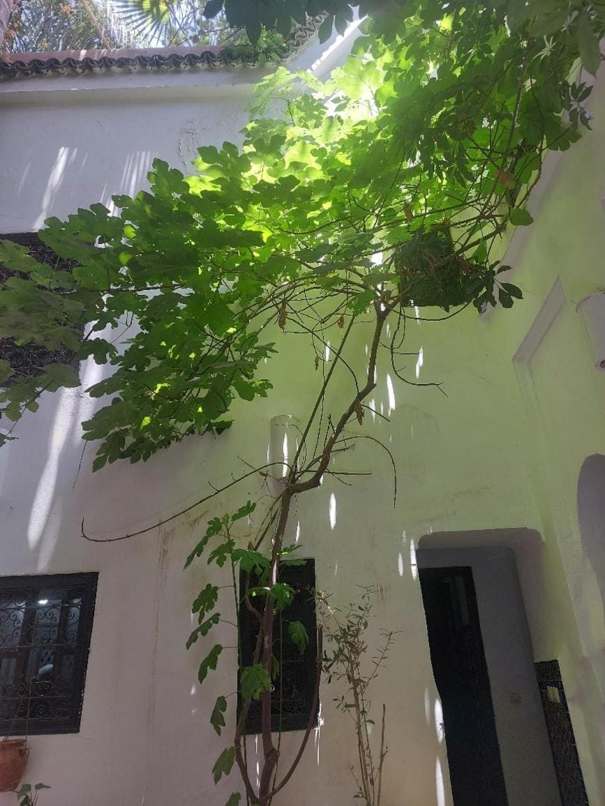 Riad Dar Lalla Fatna House in Marrakesh
