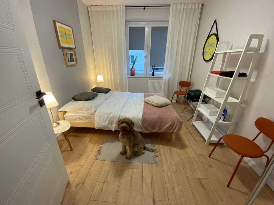 5 minut do Zamku Apartment in Pomeranian Voivodeship